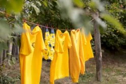 Easy Camp Edendale 600 Tunneltent 6 Persoons - Grijs -Winkel Voor Kampeerartikelen 1267 1900 waslijn 1