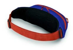 Osprey Daylite Heuptas - Blauw/Oranje -Winkel Voor Kampeerartikelen 1900 1425 daylitewaist s23 sideback silverliningblueberry 10005144
