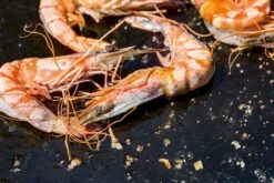 OFYR Kookboek 10 OFYR Kookboek -Winkel Voor Kampeerartikelen 800 1200 cb no1 nl fr 3