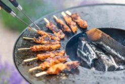 RedFire ONYX Classic Vuurschaal Bbq - 80 Cm -Winkel Voor Kampeerartikelen 85208 lifestyle 06