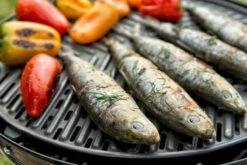 CADAC Grillo Chef 40 Gasbarbecue - BBQ/Chef Pan 21 CADAC Grillo Chef 40 Gasbarbecue - BBQ/Chef Pan -Winkel Voor Kampeerartikelen 900 1348 grillo chef 40 bbq grid