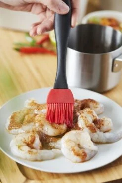 Barbecook Sauspan Met Marinadeborstel -Winkel Voor Kampeerartikelen 900 600 bc acc 7211 sf 12 hr