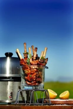 Cobb Premier+ Gas Gasbarbecue - Grijs 21 Cobb Premier+ Gas Gasbarbecue - Grijs -Winkel Voor Kampeerartikelen cobb premier 3 2