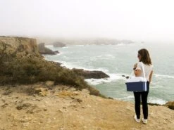 Mobicool MT08 Blauw Autokoelbox - 8 Liter -Winkel Voor Kampeerartikelen mobicool mt 08 cliff woman 1 resultaat